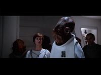 Mon Calamari
